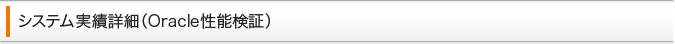 システム実績詳細（Oracle性能検証）