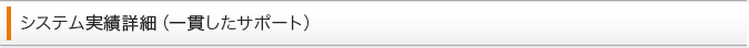 システム実績詳細（一貫したサポート）