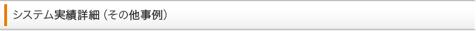 システム実績詳細（その他事例）